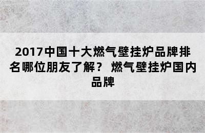 2017中国十大燃气壁挂炉品牌排名哪位朋友了解？ 燃气壁挂炉国内品牌